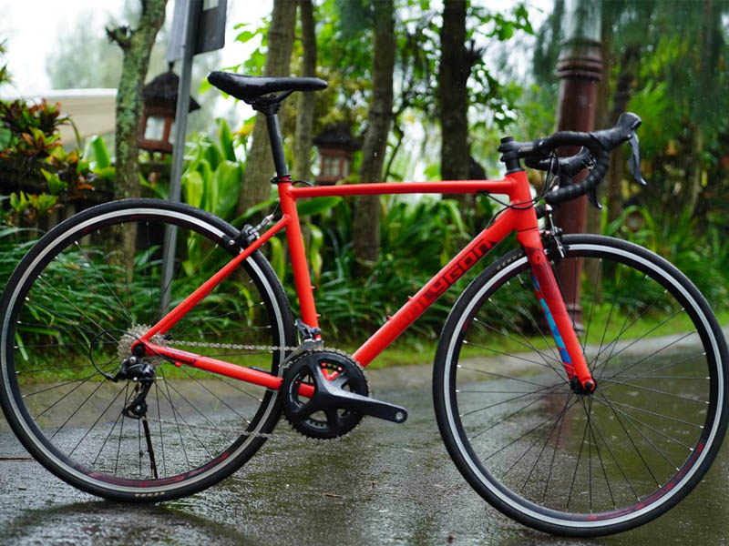 Bicycle frame styles
