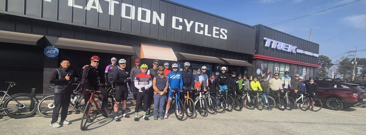 Bike shop comparison