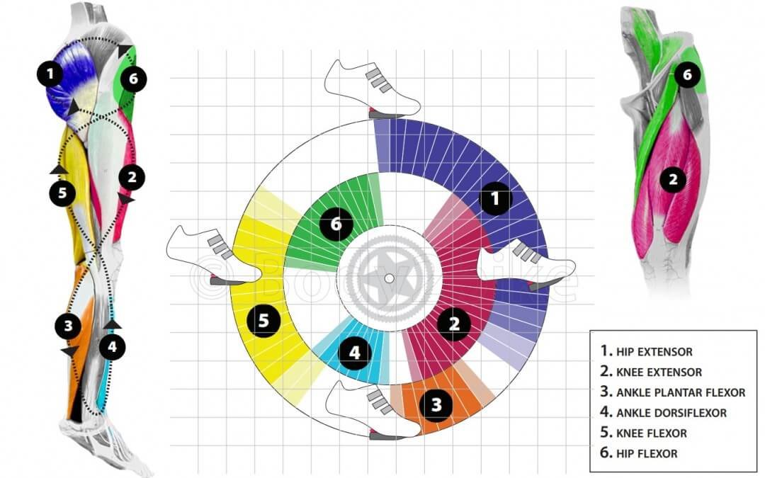 Heel pedal position