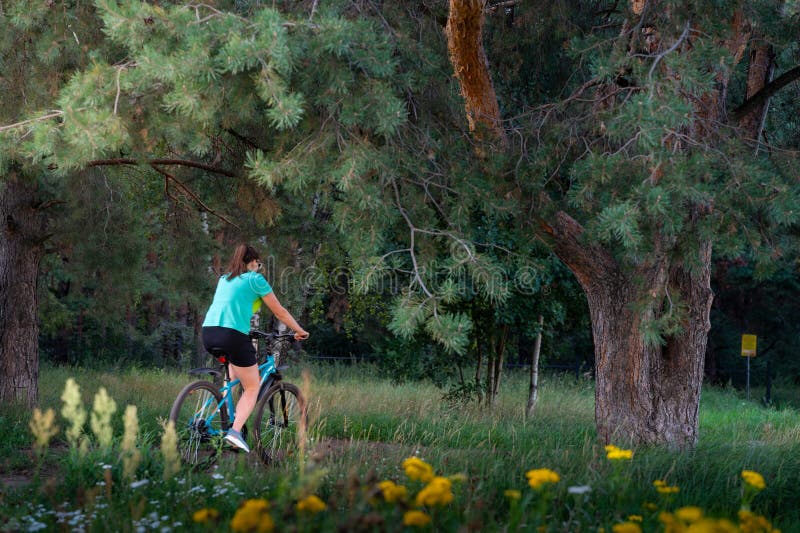 Rough forest trail