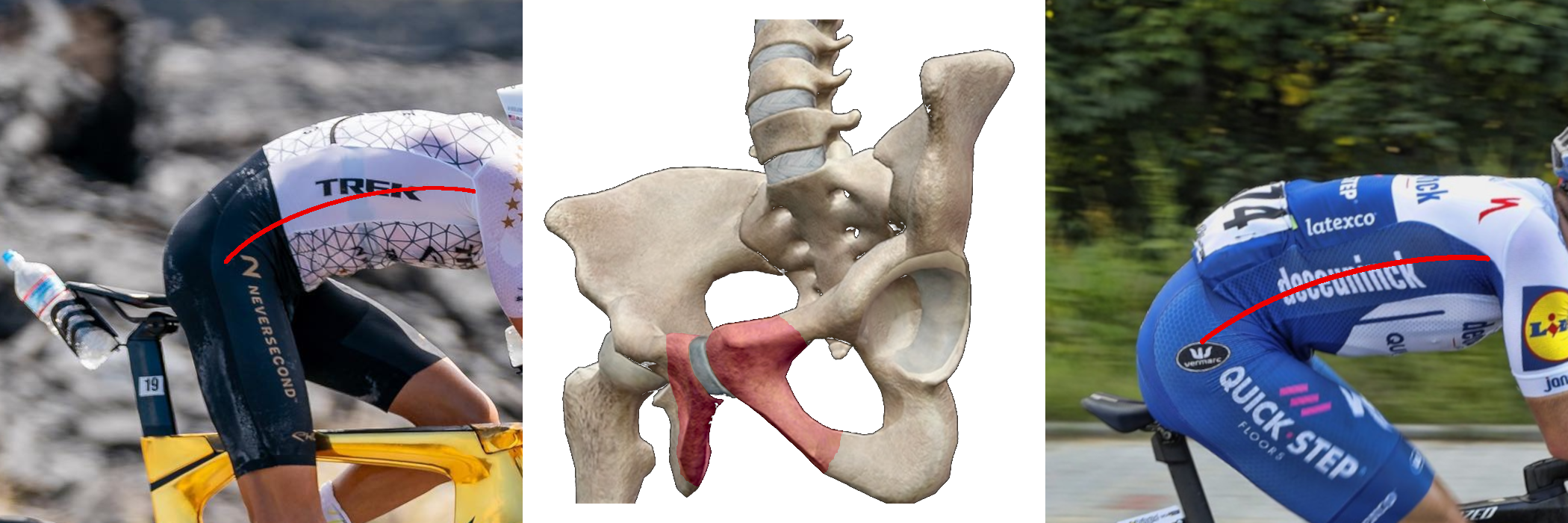 cyclist pelvic position