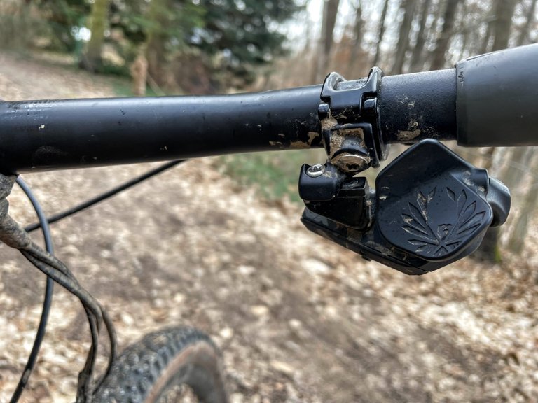 electronic bike shift paddles