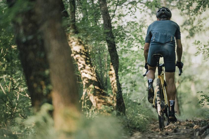 rider training choices